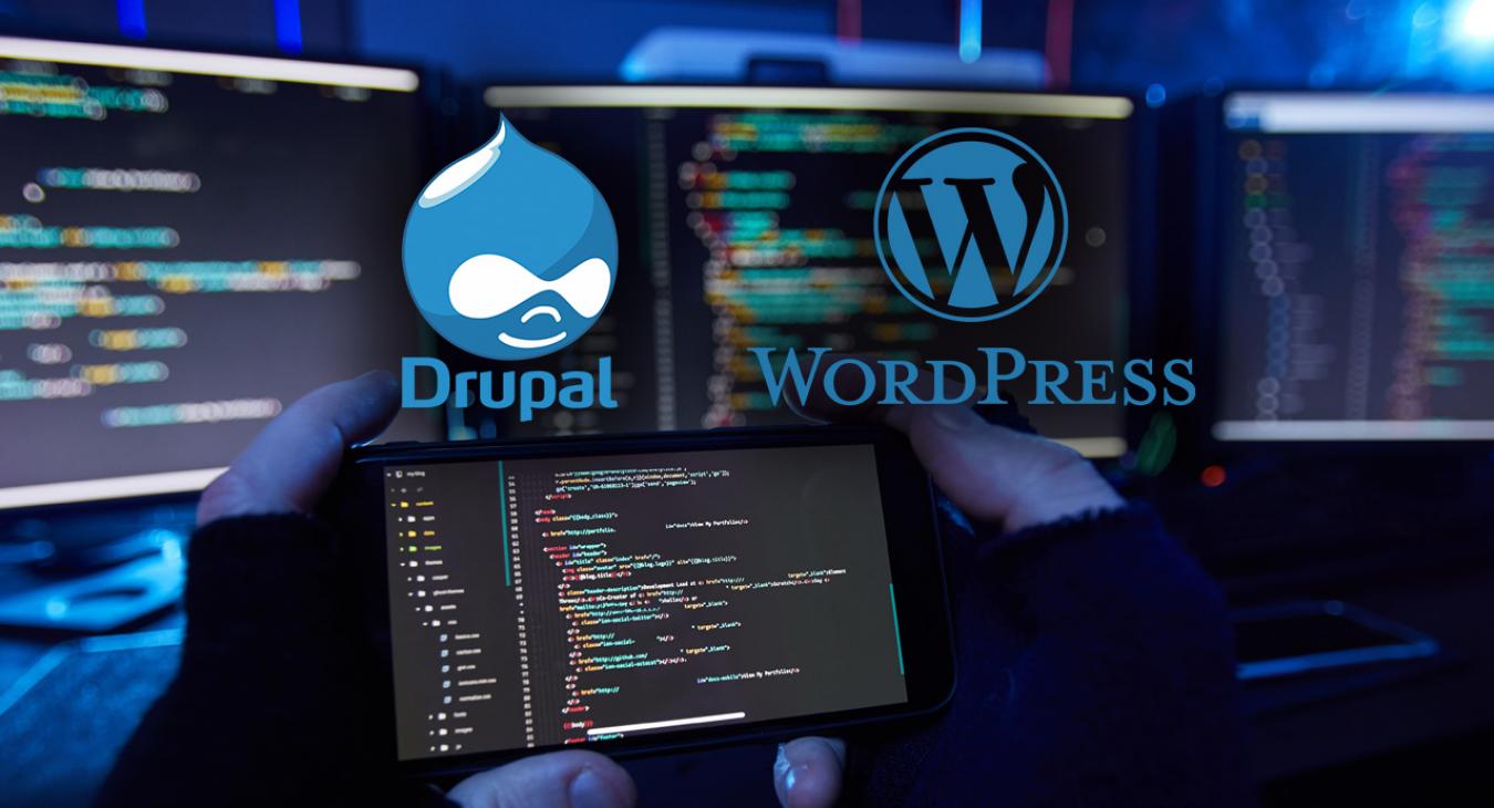 Drupal & Word Press CMS Design Services