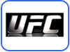 ufc Ultimate Fighting Championship